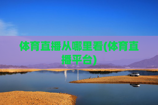 体育直播从哪里看(体育直播平台)