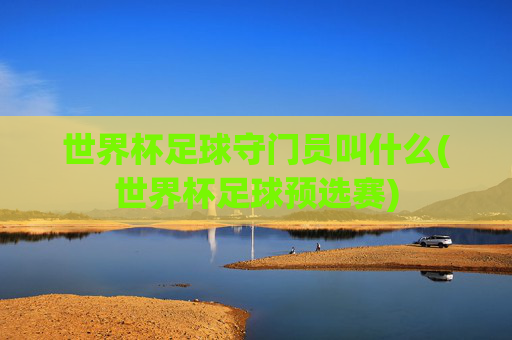 世界杯足球守门员叫什么(世界杯足球预选赛)