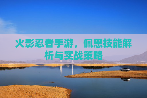 火影忍者手游,佩恩技能解析与实战策略