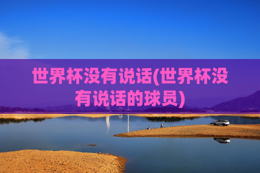 世界杯没有说话(世界杯没有说话的球员)