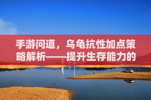 手游问道，乌龟抗性加点策略解析——提升生存能力的关键