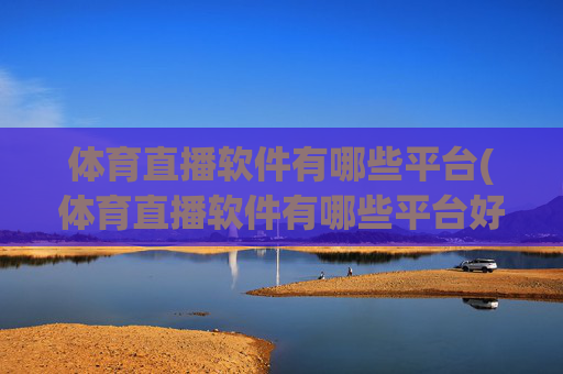 体育直播软件有哪些平台(体育直播软件有哪些平台好)