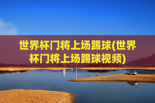 世界杯门将上场踢球(世界杯门将上场踢球视频)