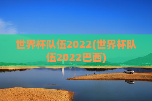 世界杯队伍2022(世界杯队伍2022巴西)