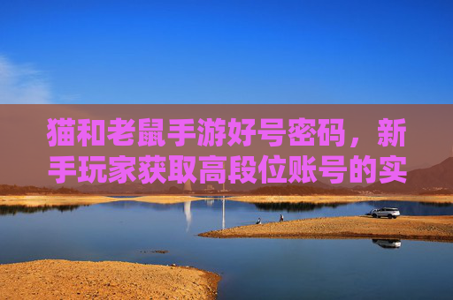 猫和老鼠手游好号密码，新手玩家获取高段位账号的实用指南