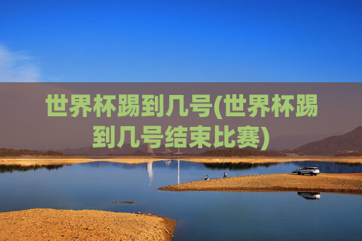 世界杯踢到几号(世界杯踢到几号结束比赛)