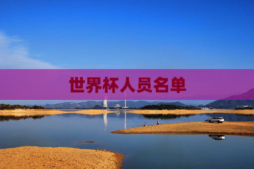 世界杯人员名单