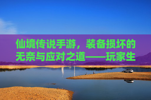 仙境传说手游,装备损坏的无奈与应对之道——玩家生存指南