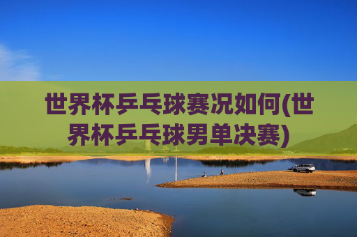 世界杯乒乓球赛况如何(世界杯乒乓球男单决赛)