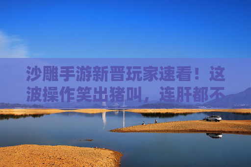 沙雕手游新晋玩家速看！这波操作笑出猪叫，连肝都不用？