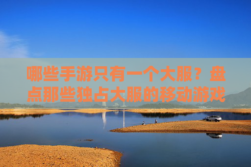 哪些手游只有一个大服？盘点那些独占大服的移动游戏及原因分析，哪些手游只有一个大服？盘点独占大服的移动游戏及原因分析