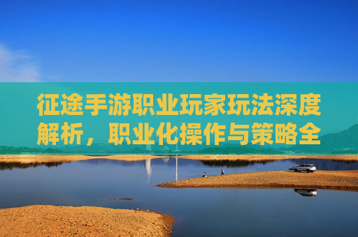 征途手游职业玩家玩法深度解析,职业化操作与策略全攻略
