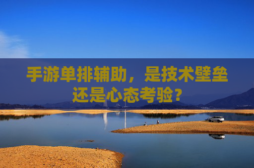 手游单排辅助,是技术壁垒还是心态考验?