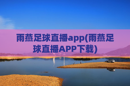 雨燕足球直播app(雨燕足球直播APP下载)