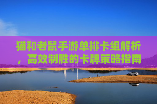猫和老鼠手游单排卡组解析，高效制胜的卡牌策略指南，猫和老鼠手游单排卡组解析，高效制胜的卡牌策略指南