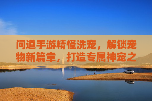 问道手游精怪洗宠，解锁宠物新篇章，打造专属神宠之路，问道手游精怪洗宠，解锁宠物新篇章，打造专属神宠之路