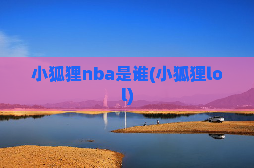 小狐狸nba是谁(小狐狸lol)
