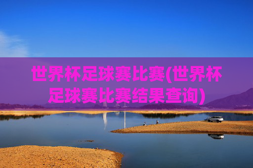 世界杯足球赛比赛(世界杯足球赛比赛结果查询)