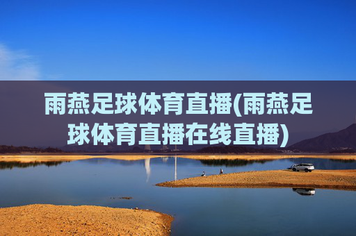 雨燕足球体育直播(雨燕足球体育直播在线直播)
