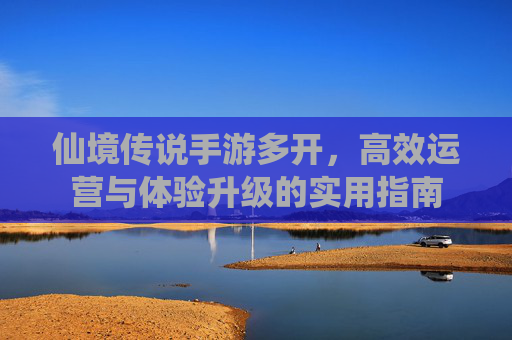 仙境传说手游多开，高效运营与体验升级的实用指南