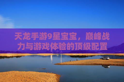 天龙手游9星宝宝，巅峰战力与游戏体验的顶级配置