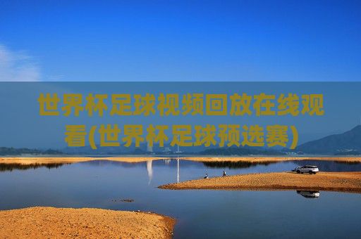 世界杯足球视频回放在线观看(世界杯足球预选赛)