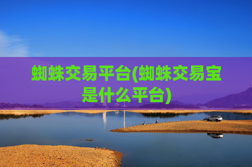 蜘蛛交易平台(蜘蛛交易宝是什么平台)