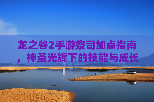 龙之谷2手游祭司加点指南，神圣光辉下的技能与成长策略，龙之谷2祭司加点指南，神圣光辉下的技能与成长策略