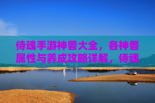 侍魂手游神兽大全，各神兽属性与养成攻略详解，侍魂手游神兽大全，各神兽属性与养成攻略详解