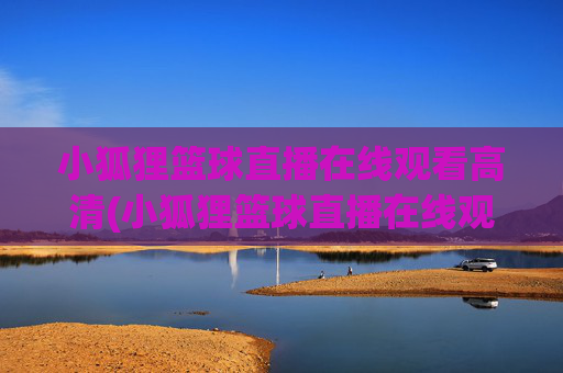 小狐狸篮球直播在线观看高清(小狐狸篮球直播在线观看高清视频)