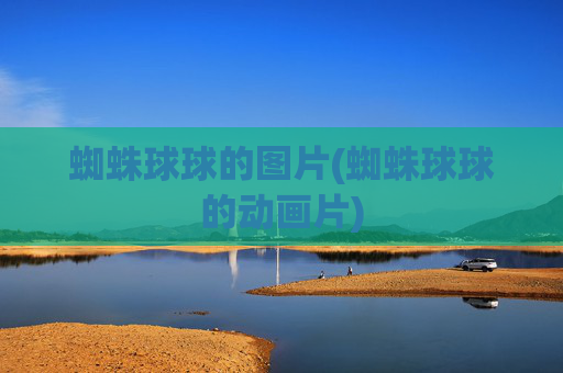 蜘蛛球球的图片(蜘蛛球球的动画片)
