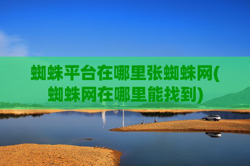 蜘蛛平台在哪里张蜘蛛网(蜘蛛网在哪里能找到)