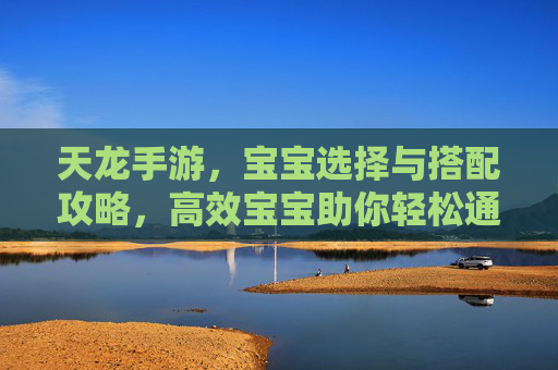 天龙手游，宝宝选择与搭配攻略，高效宝宝助你轻松通关，天龙手游宝宝选择与搭配攻略，高效宝宝助你轻松通关