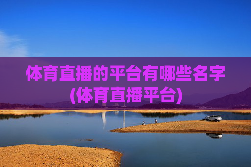 体育直播的平台有哪些名字(体育直播平台)