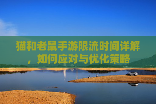 猫和老鼠手游限流时间详解，如何应对与优化策略