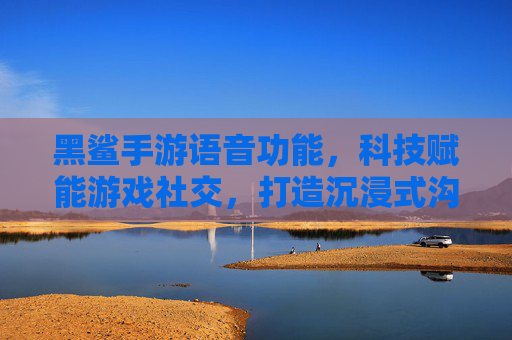 黑鲨手游语音功能，科技赋能游戏社交，打造沉浸式沟通体验