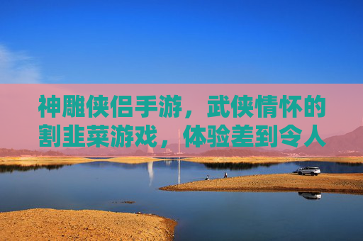 神雕侠侣手游，武侠情怀的割韭菜游戏，体验差到令人失望，神雕侠侣手游，武侠情怀的割韭菜游戏，体验差到令人失望