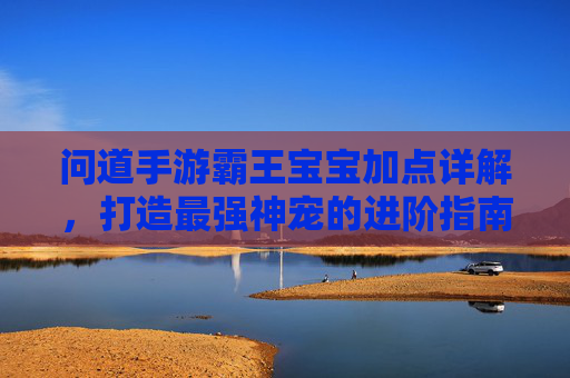 问道手游霸王宝宝加点详解，打造最强神宠的进阶指南，问道手游霸王宝宝加点详解，打造最强神宠的进阶指南