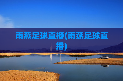 雨燕足球直播(雨燕足球直播)