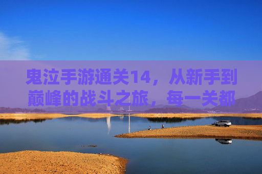 鬼泣手游通关14，从新手到巅峰的战斗之旅，每一关都是对技巧与勇气的考验，鬼泣手游通关14，从新手到巅峰的战斗之旅，技巧与勇气的考验