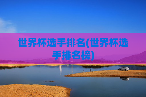 世界杯选手排名(世界杯选手排名榜)