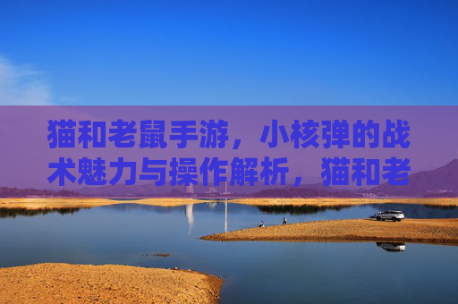猫和老鼠手游,小核弹的战术魅力与操作解析,猫和老鼠手游小核弹,战术魅力与操作解析