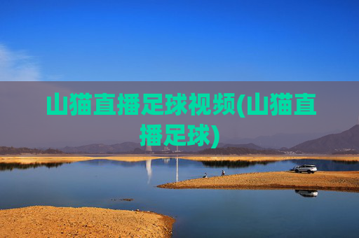 山猫直播足球视频(山猫直播足球)