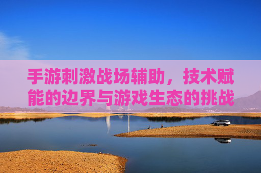 手游刺激战场辅助,技术赋能的边界与游戏生态的挑战