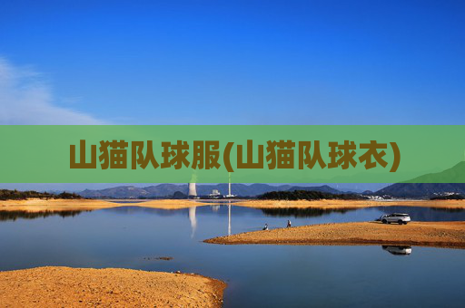 山猫队球服(山猫队球衣)
