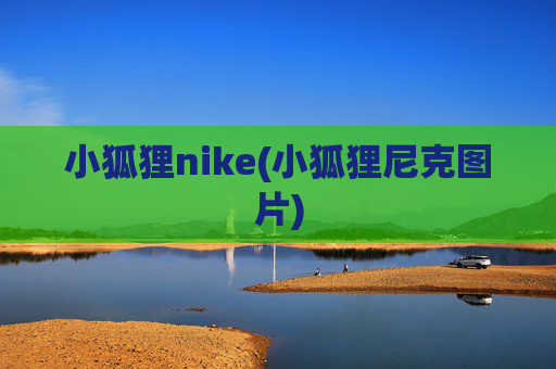 小狐狸nike(小狐狸尼克图片)