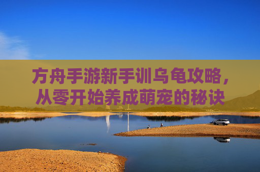 方舟手游新手训乌龟攻略，从零开始养成萌宠的秘诀