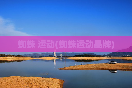 蜘蛛 运动(蜘蛛运动品牌)