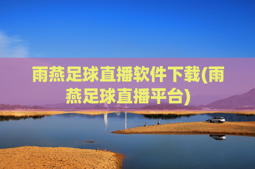 雨燕足球直播软件下载(雨燕足球直播平台)