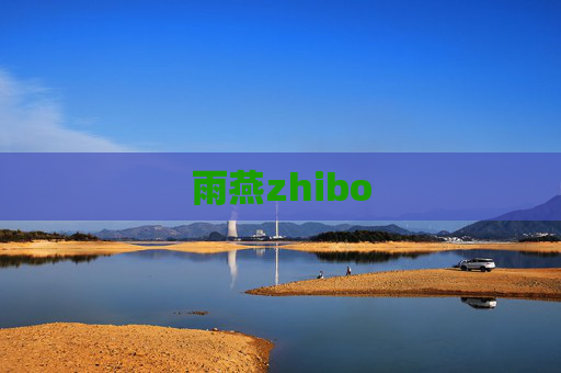 雨燕zhibo